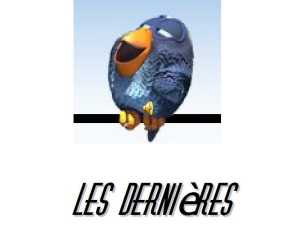 Birds les dernieres1